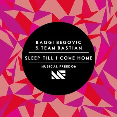 Sleep Till I Come Home 專輯 Baggi Begovic