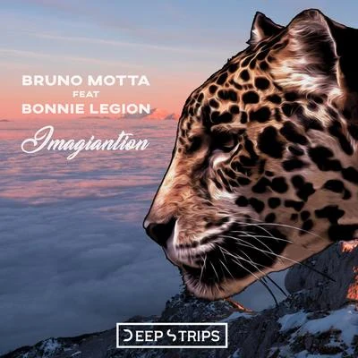 Bruno Motta Imagination