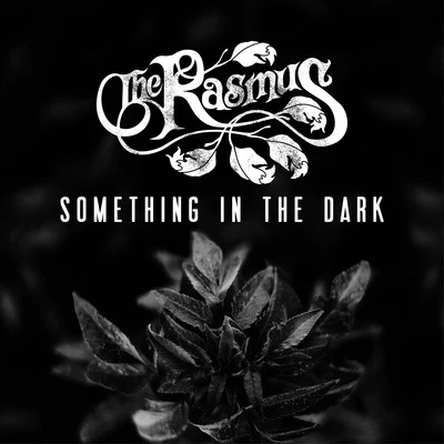 The Rasmus Something in the Dark