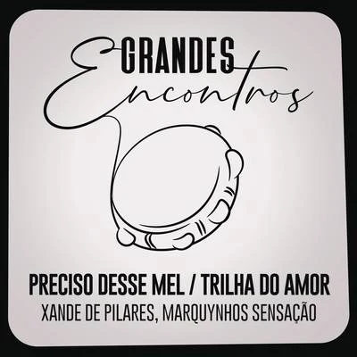 Preciso Desse MelTrilha do Amor 專輯 Xande de Pilares