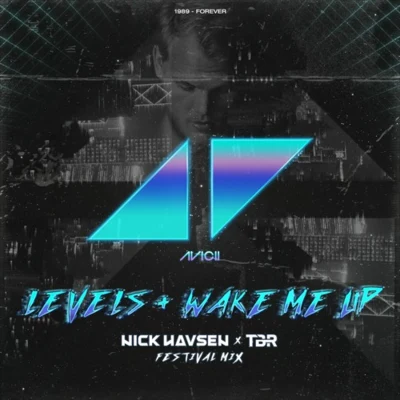 Levels+Wake Me Up (Nick Havsen & TBR Festival Mix) 專輯 Moji/TBR