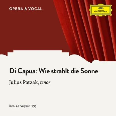 Di Capua: Wie strahlt die Sonne 專輯 Julius Patzak