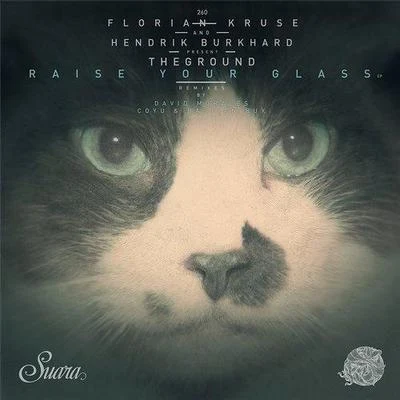 Raise Your Glass 專輯 Florian Kruse