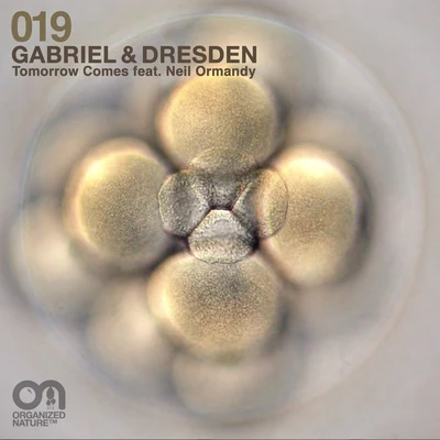 Tomorrow Comes 專輯 Gabriel & Dresden