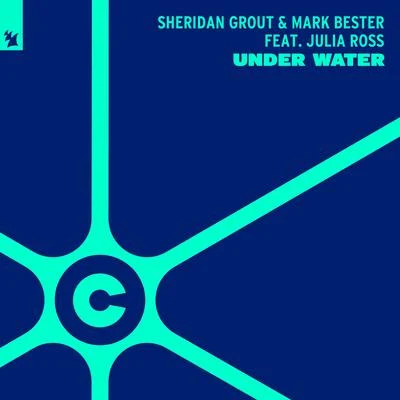 Mark Bester Under Water