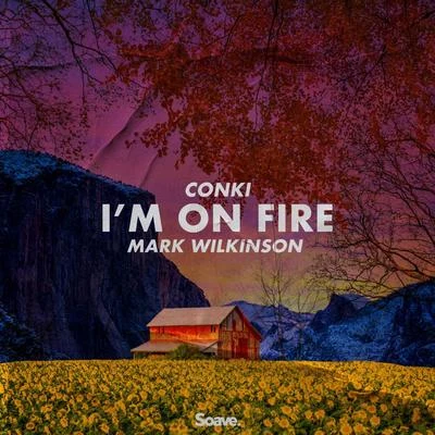 Mark WilkinsonRed Soul Im On Fire