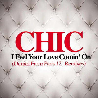 I Feel Your Love Comin On(Dimitri From Paris Remix) 專輯 CHIC/Gorillaz/Gerry Rafferty/Hot Chocolate/The Trammps