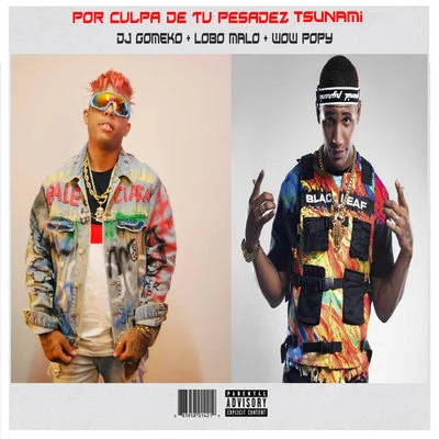 Por Culpa de tu Pesadez Tsunami 專輯 Insuchavia/Wow Popy/Harryson/Hijo G