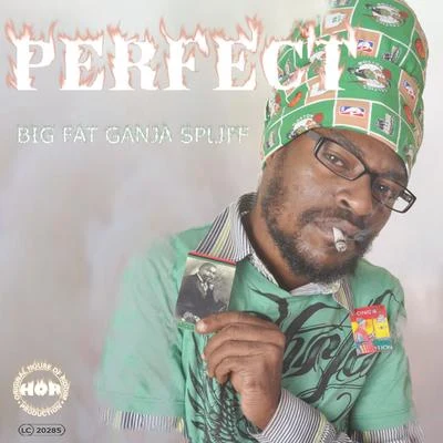 Big Fat Ganja Spliff 專輯 Perfect/Anthony B/Malijah/Ras Mc Bean/Luciano