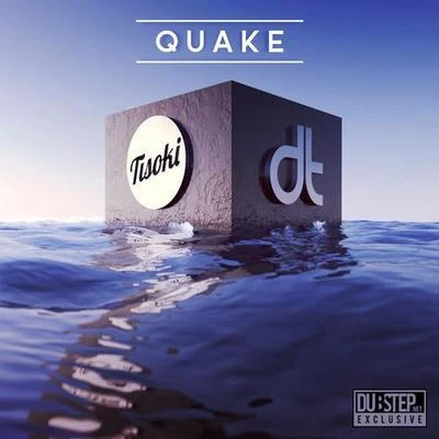 Dion Timmer Quake