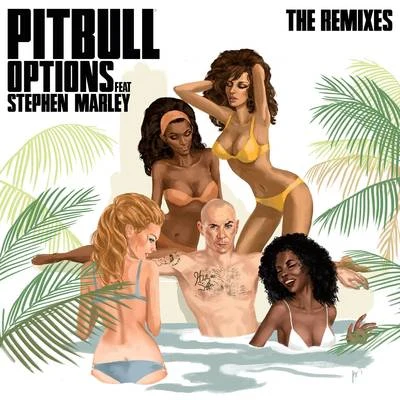 Stephen MarleyPitbullJames Hype Options (The Remixes)