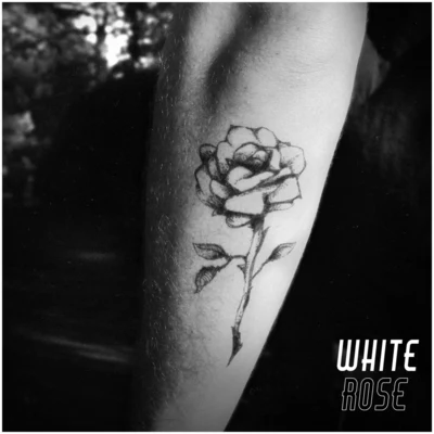 White Rose 專輯 Incognita/Sully