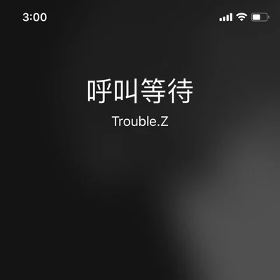 呼叫等待 專輯 Trouble.Z