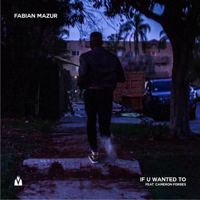 If U Wanted To 專輯 Party Thieves/Fabian Mazur