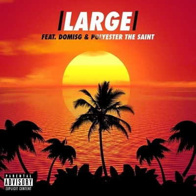 Large (feat. DomIsG & Polyester the Saint) 專輯 Polyester the Saint