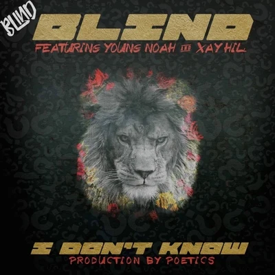 I Don&#x27;t Know (feat. Young Noah & Xay Hill) 专辑 Vincenzo Salvia/misfitchris/Glass Department/Leitbur/Sum