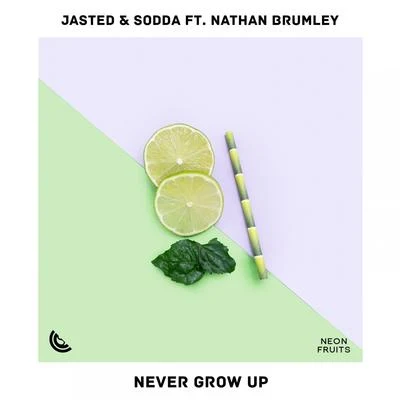 Never Grow Up 專輯 Vovich/Jasted