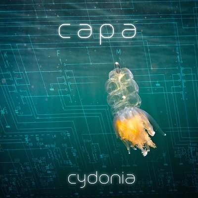 Cydonia 專輯 CaPa/Gula Väggen