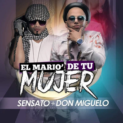 El Mario&#x27; de Tu Mujer 专辑 Don Miguelo