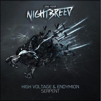 Serpent 專輯 High voltage