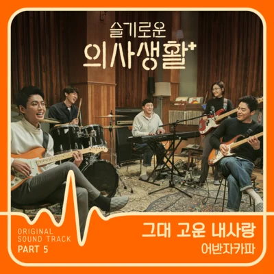 슬기로운 의사생활 OST Part 5 專輯 Urban Zakapa