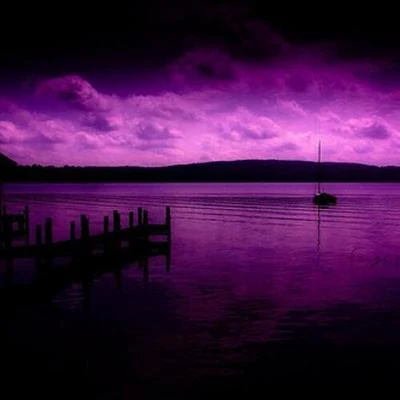 Galimatias Purple Rain