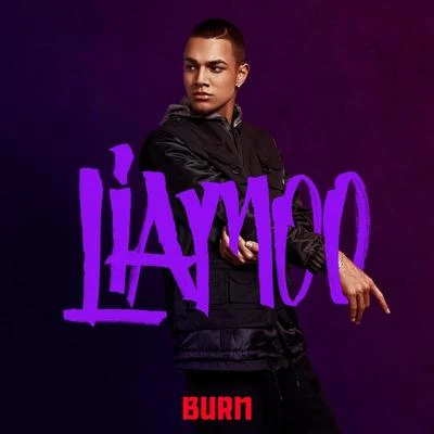 Burn 專輯 Liamoo/Klara Hammarström