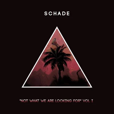 Not What We Are Looking For [Volume 1] 專輯 Manny S./Schade