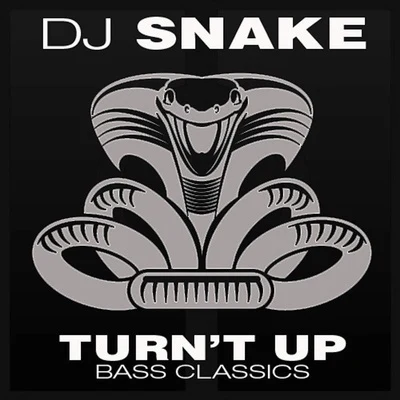 Turnt Up 專輯 白龍/DJ Snake/Ishtar/Dead/Mr.T