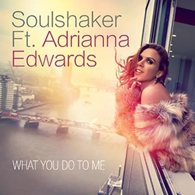 What You Do to Me 專輯 Fire Foxx/Soulshaker