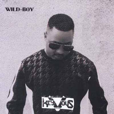 Wild Boy 专辑 Keyvous/Darren & Cashwell/DJ M.O.D./Malik Gita