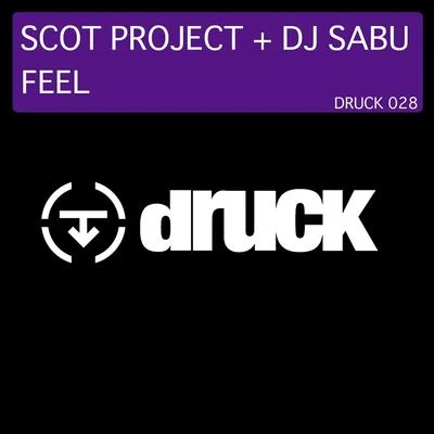 Feel 专辑 Scot Project