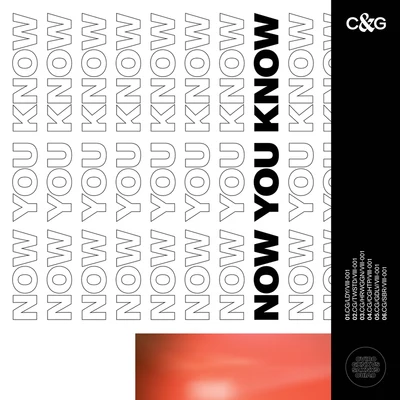 Now You Know (EP) 专辑 CVIRO/GXNXVS