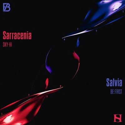 SarraceniaSalvia 专辑 SKY-HI