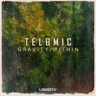 Gravity Within 專輯 Telomic