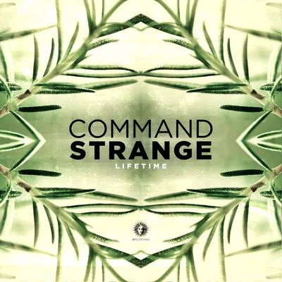 Lifetime 專輯 Command Strange