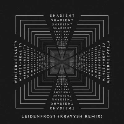 Leidenfrost (Krayysh Remix) 專輯 Shadient/SLANDER/Leotrix/Dylan Matthew/Moody Good