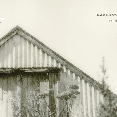 Fallen 專輯 Taylor Deupree