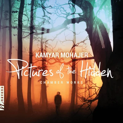 Kamyar Mohajer: Pictures of the Hidden 專輯 Julia Okruska/Rafael Ramirez/Javier caballero/Rane Moore/Molly McCaffrey