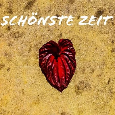 Schönste Zeit (feat. Niclas Wlochowitz) 專輯 David Mayer