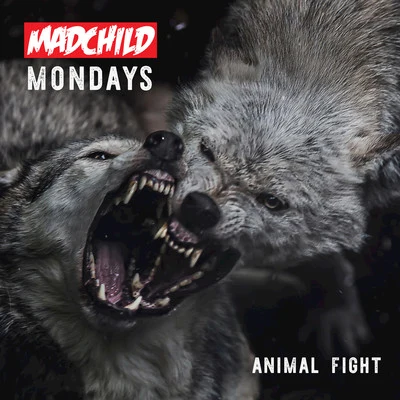 Animal Fight 專輯 Madchild