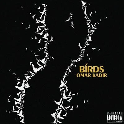 Birds - Single 專輯 Erik Frank/Omar Kadir