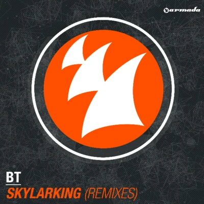 Skylarking 專輯 BT