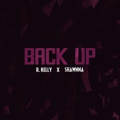 Back Up 專輯 R. Kelly/Rasheeda/Youngbloodz/The Dream/Nivea