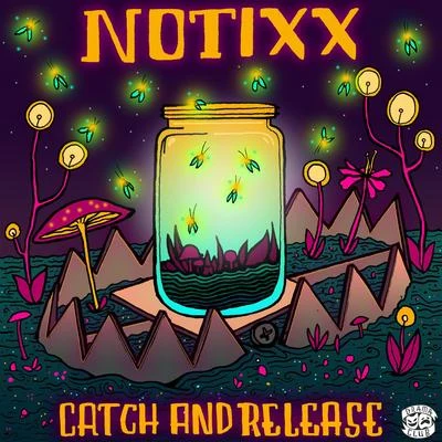 Catch & Release 专辑 Notixx