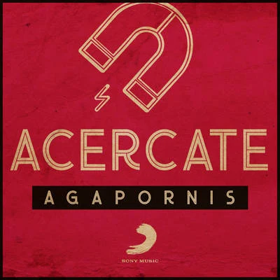 Acercate 專輯 Lauro/Agapornis/Hernan y La Champions Liga