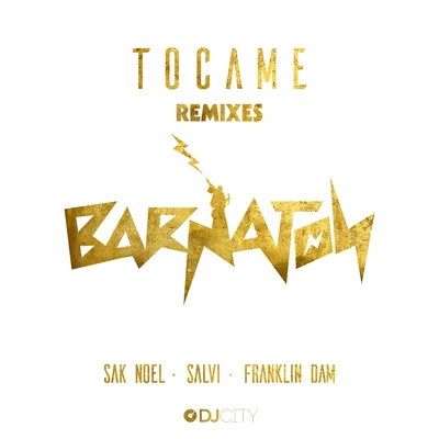 Tocame (Remixes) 專輯 Salvi