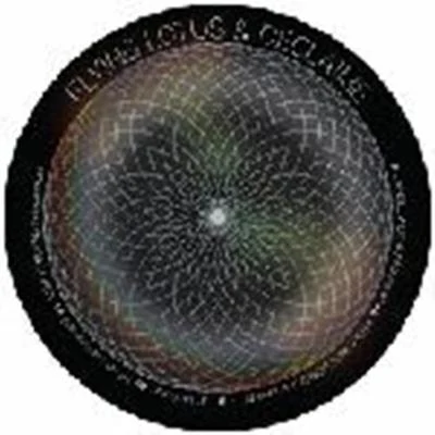 Whole Wide World 專輯 Flying Lotus