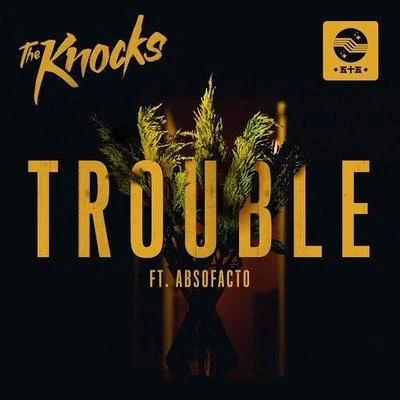 TROUBLE 專輯 The Knocks/Fred Falke