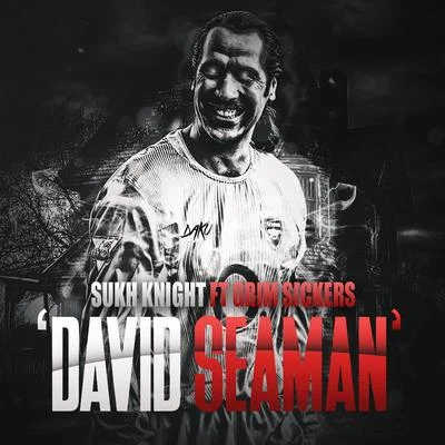 David Seaman 专辑 Mystry/Sukh Knight